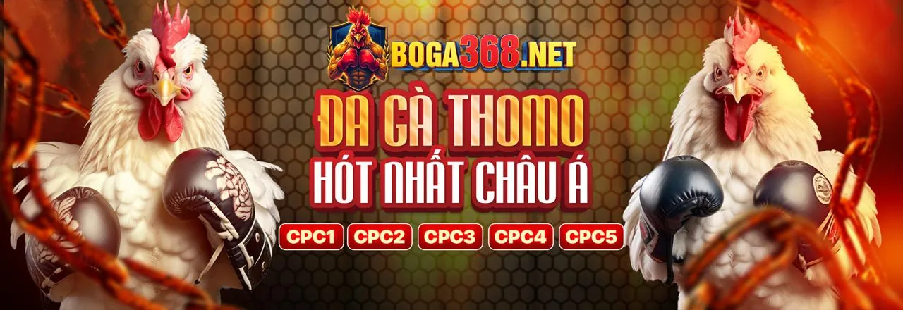 Đá Gà u888id - Sân Đấu Kịch Tính